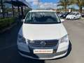 Volkswagen Touran 1.9TDI Advance 105 Blanco - thumbnail 7