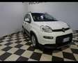 Fiat New Panda 1.0 FireFly Hybrid City Life Blanco - thumbnail 3