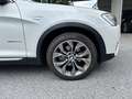 BMW X4 X4 xDrive30d F26 Österreich Paket Weiß - thumbnail 3