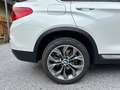 BMW X4 X4 xDrive30d F26 Österreich Paket Weiß - thumbnail 9