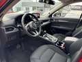 Mazda CX-5 2.2 184 AWD Sports-Line *Matrix-LED*BOSE* Rojo - thumbnail 18