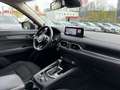 Mazda CX-5 2.2 184 AWD Sports-Line *Matrix-LED*BOSE* Rojo - thumbnail 7