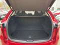 Mazda CX-5 2.2 184 AWD Sports-Line *Matrix-LED*BOSE* Rojo - thumbnail 9