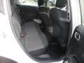 Citroen C3 1.5 BLUEHDI 102CV E6D FEEL **KM CERTIFICATI** Bianco - thumbnail 12