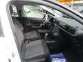 Citroen C3 1.5 BLUEHDI 102CV E6D FEEL **KM CERTIFICATI** Bianco - thumbnail 10