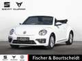 Volkswagen Beetle Cabriolet 1.2 TSI Design BMT KLIMA PDC Weiß - thumbnail 1