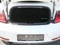Volkswagen Beetle Cabriolet 1.2 TSI Design BMT KLIMA PDC Bianco - thumbnail 15