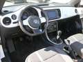 Volkswagen Beetle Cabriolet 1.2 TSI Design BMT KLIMA PDC Bianco - thumbnail 6