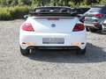 Volkswagen Beetle Cabriolet 1.2 TSI Design BMT KLIMA PDC Weiß - thumbnail 8
