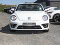 Volkswagen Beetle Cabriolet 1.2 TSI Design BMT KLIMA PDC Bianco - thumbnail 7