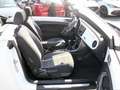 Volkswagen Beetle Cabriolet 1.2 TSI Design BMT KLIMA PDC Bianco - thumbnail 2