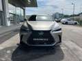 Lexus NX 300 NX Plug-in 4WD Luxury - thumbnail 6