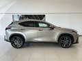 Lexus NX 450h+ NX Plug-in 4WD Luxury - thumbnail 13