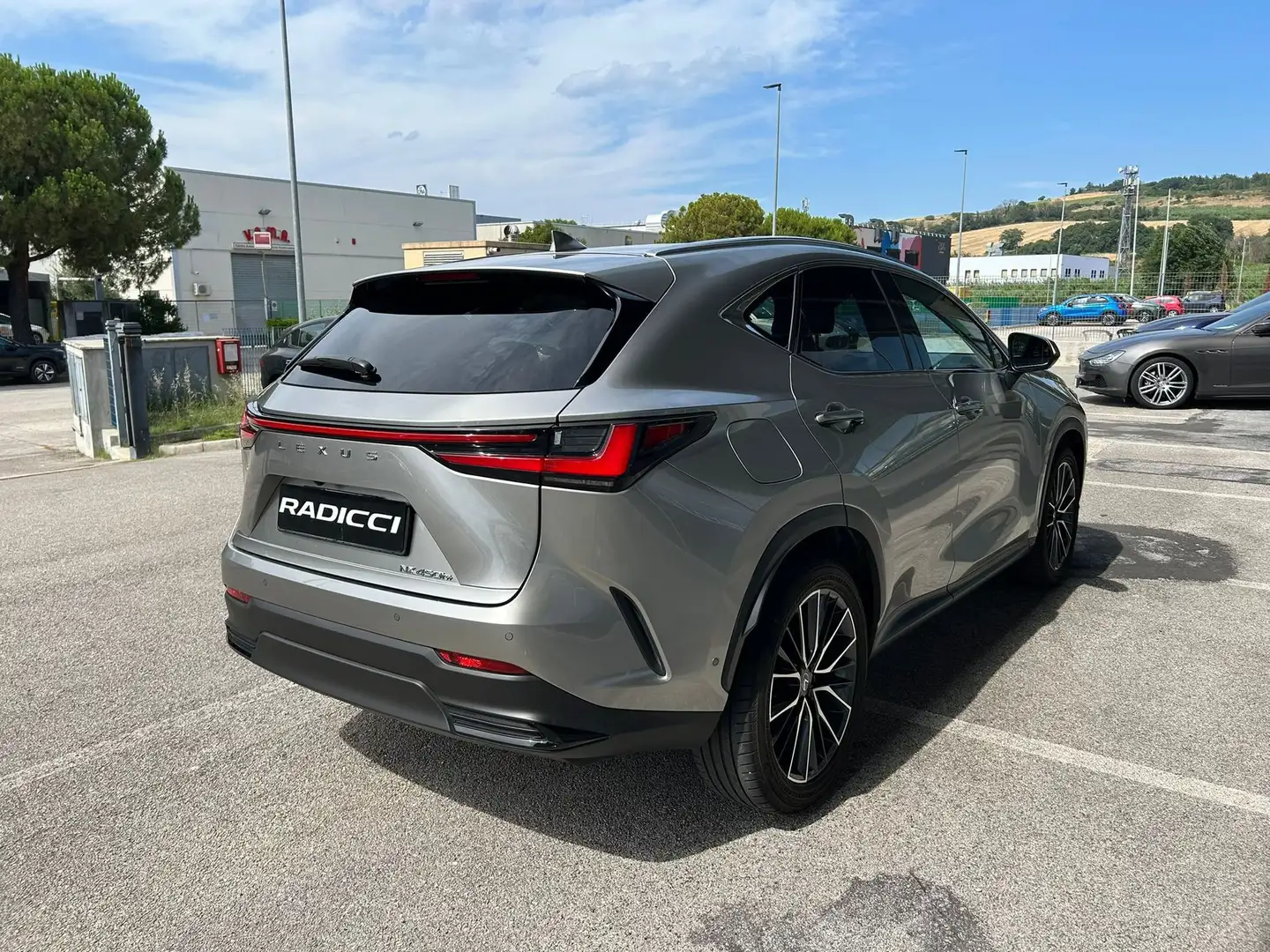 Lexus NX 300 NX Plug-in 4WD Luxury - 2