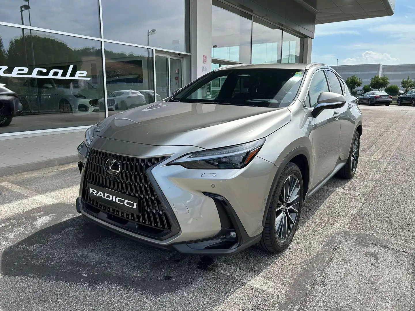 Lexus NX 300 NX Plug-in 4WD Luxury - 1