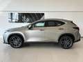 Lexus NX 450h+ NX Plug-in 4WD Luxury - thumbnail 12