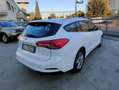 Ford Focus Focus V 2018 SW SW 1.5 ecoblue Business s Bianco - thumbnail 7