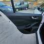 Ford Focus Focus V 2018 SW SW 1.5 ecoblue Business s Bianco - thumbnail 14