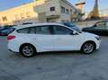 Ford Focus Focus V 2018 SW SW 1.5 ecoblue Business s Bianco - thumbnail 6