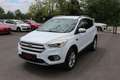 Ford Kuga 1,5 TDCi Titanium Start/Stop *Keyless go* *Led* Weiß - thumbnail 2