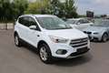 Ford Kuga 1,5 TDCi Titanium Start/Stop *Keyless go* *Led* Weiß - thumbnail 3
