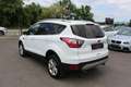 Ford Kuga 1,5 TDCi Titanium Start/Stop *Keyless go* *Led* Weiß - thumbnail 6