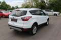 Ford Kuga 1,5 TDCi Titanium Start/Stop *Keyless go* *Led* Weiß - thumbnail 11