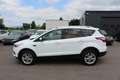 Ford Kuga 1,5 TDCi Titanium Start/Stop *Keyless go* *Led* Weiß - thumbnail 8