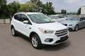 Ford Kuga 1,5 TDCi Titanium Start/Stop *Keyless go* *Led* Weiß - thumbnail 4