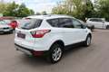 Ford Kuga 1,5 TDCi Titanium Start/Stop *Keyless go* *Led* Weiß - thumbnail 12