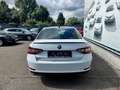Skoda Superb Superb 2.0 TSI 4x4 DSG Sportline Blanc - thumbnail 12