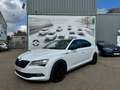 Skoda Superb Superb 2.0 TSI 4x4 DSG Sportline Blanc - thumbnail 1