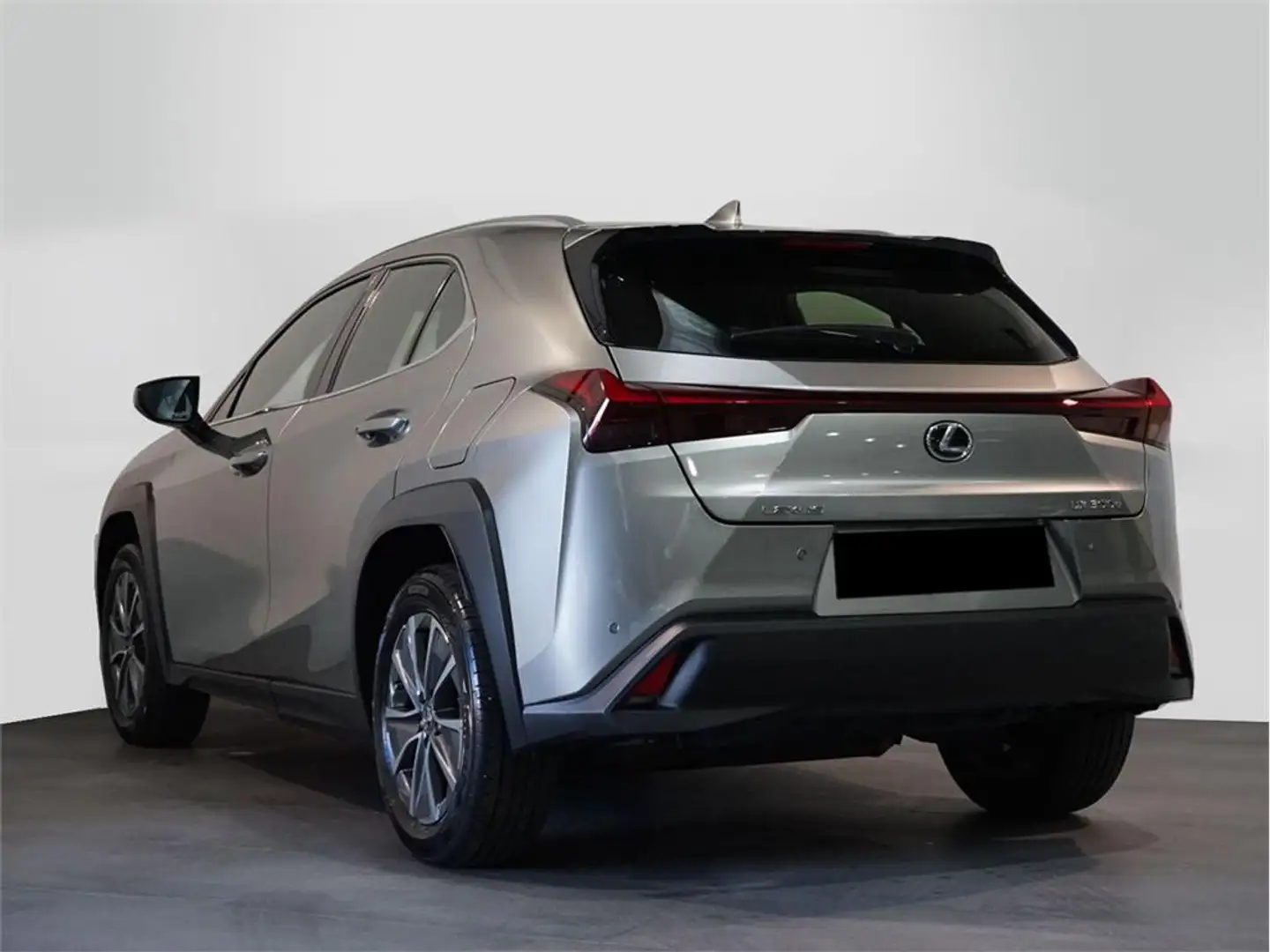 Lexus UX 300e Business - 2