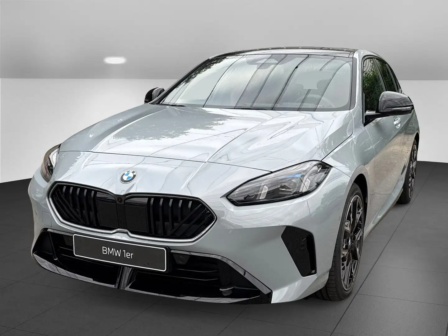 BMW 120 d M Sportpaket Head-Up HK HiFi DAB LED RFK Grau - 1