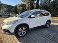 Honda CR-V 2.2 Lifestyle 4wd auto Alb - thumbnail 1