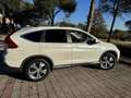 Honda CR-V 2.2 Lifestyle 4wd auto Alb - thumbnail 2