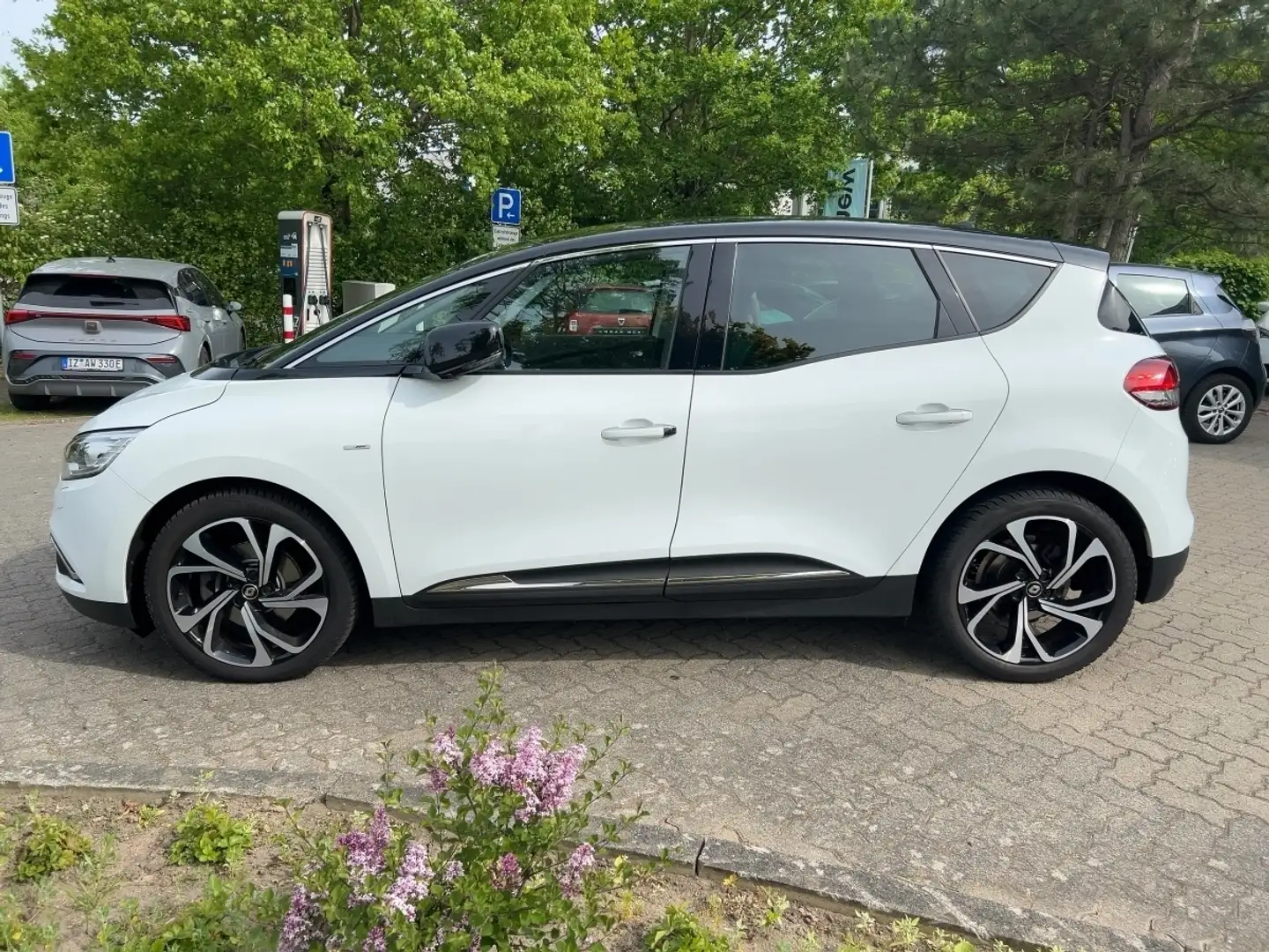 Renault Scenic TCe 140 EDC BOSE Edition *Automatik* Blanc - 2