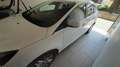Ford Focus 1.6 TDCi DPF Start-Stopp-System SYNC Edition Weiß - thumbnail 7