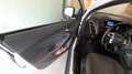 Ford Focus 1.6 TDCi DPF Start-Stopp-System SYNC Edition Weiß - thumbnail 1