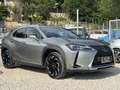 Lexus UX 250h premium 4x4 Grijs - thumbnail 1