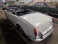 Oldtimer Fiat osca type 118s Weiß - thumbnail 5