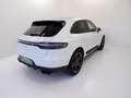 Porsche Macan 2019 - Macan 2.0 245cv pdk Bianco - thumbnail 6