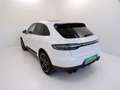 Porsche Macan 2019 - Macan 2.0 245cv pdk Bianco - thumbnail 8