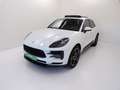 Porsche Macan 2019 - Macan 2.0 245cv pdk Bianco - thumbnail 1