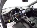 Porsche Macan 2019 - Macan 2.0 245cv pdk Bianco - thumbnail 12