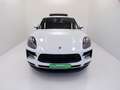 Porsche Macan 2019 - Macan 2.0 245cv pdk Bianco - thumbnail 2