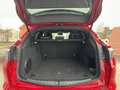Alfa Romeo Stelvio MY23 Competizione 2.0 Turbo 16V Rot - thumbnail 12