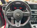 Alfa Romeo Stelvio MY23 Competizione 2.0 Turbo 16V Rot - thumbnail 8