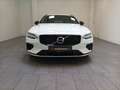 Volvo V60 V 60 T6 Twin Engine AWD R Design|Navi|CAM|Xenium Alb - thumbnail 2