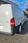 Mercedes-Benz Vito Vito Kasten (447) /111 CDI FWD lang Weiß - thumbnail 1